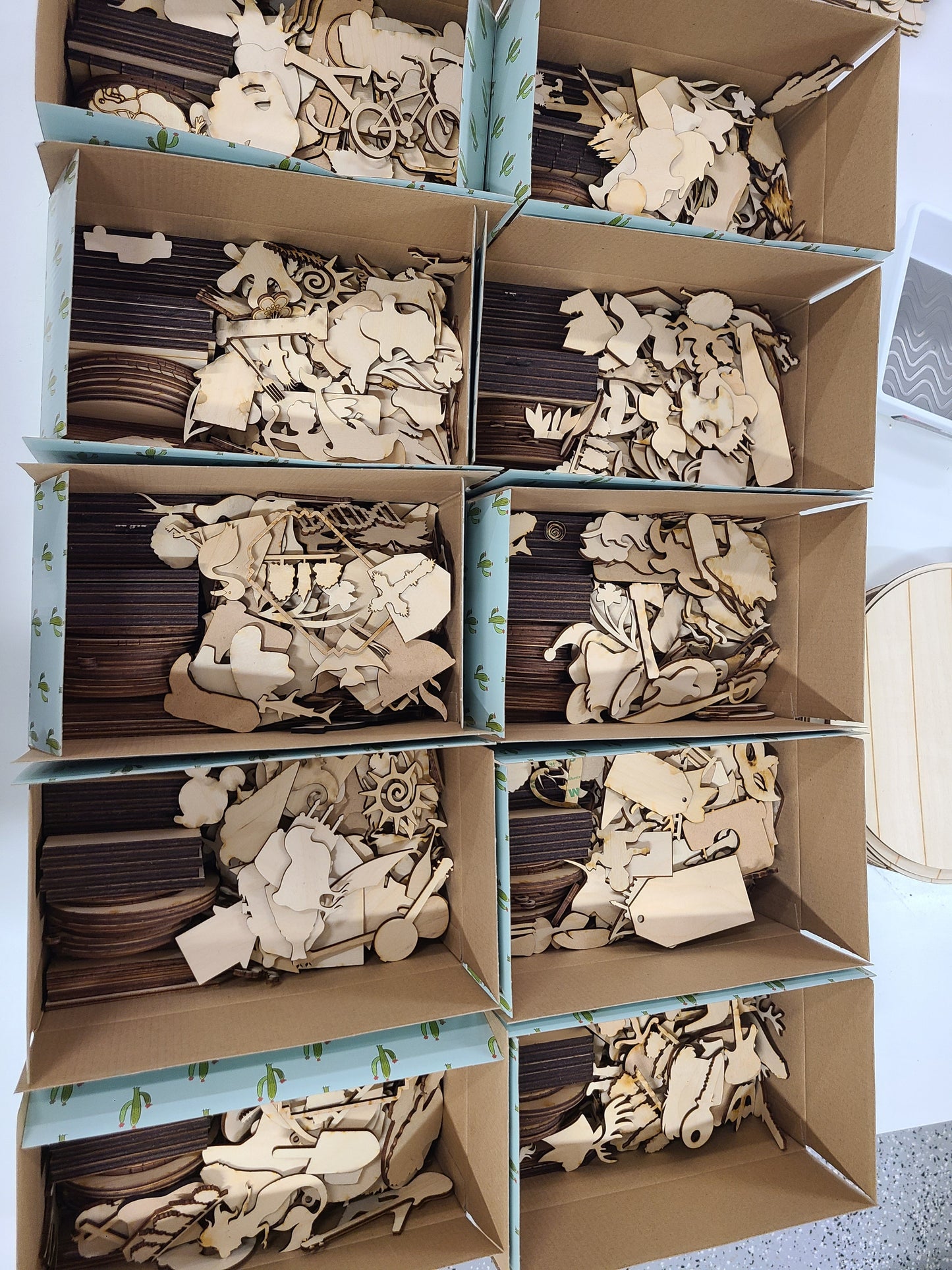 Cactus Mystery Box