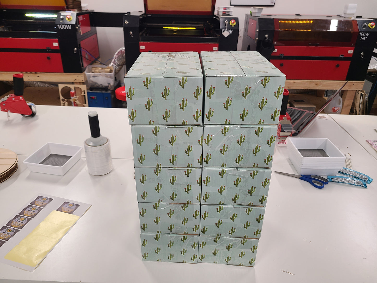 Cactus Mystery Box