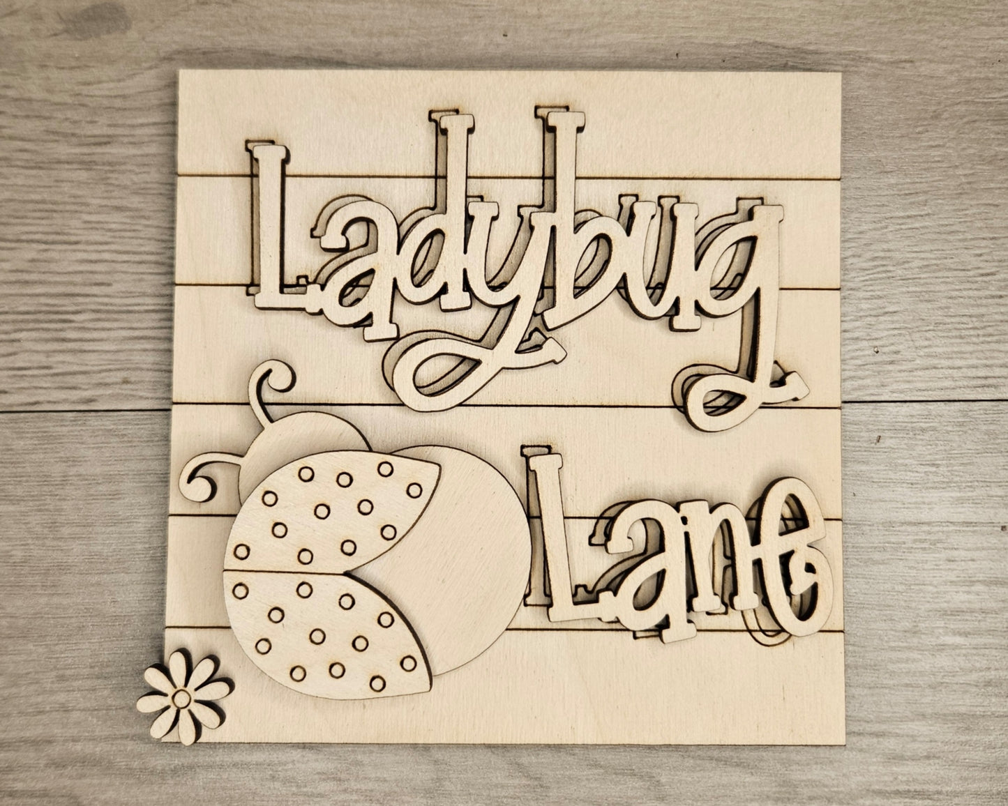 Ladybug Lane | #4749