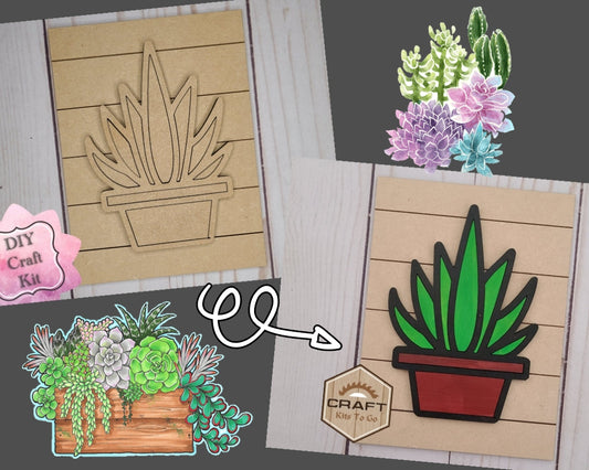 Succulent | #2620