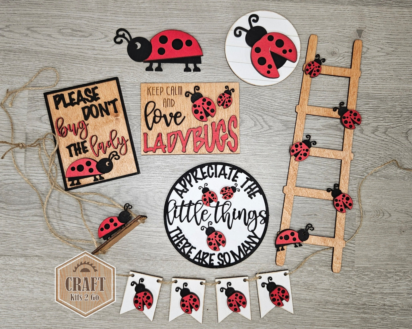 Please don't bug the Lady Bug | #2605
