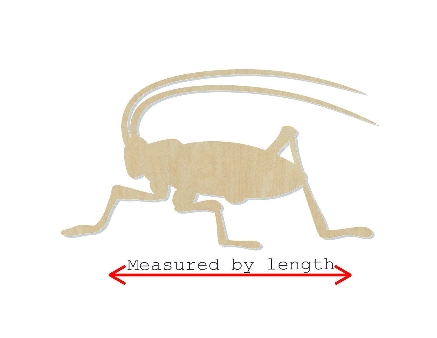 Cricket cutout bugs DIY paint kit Paint yourself zoo animals #1393 - Multiple Sizes Available - Unfinished Cutout Shapes