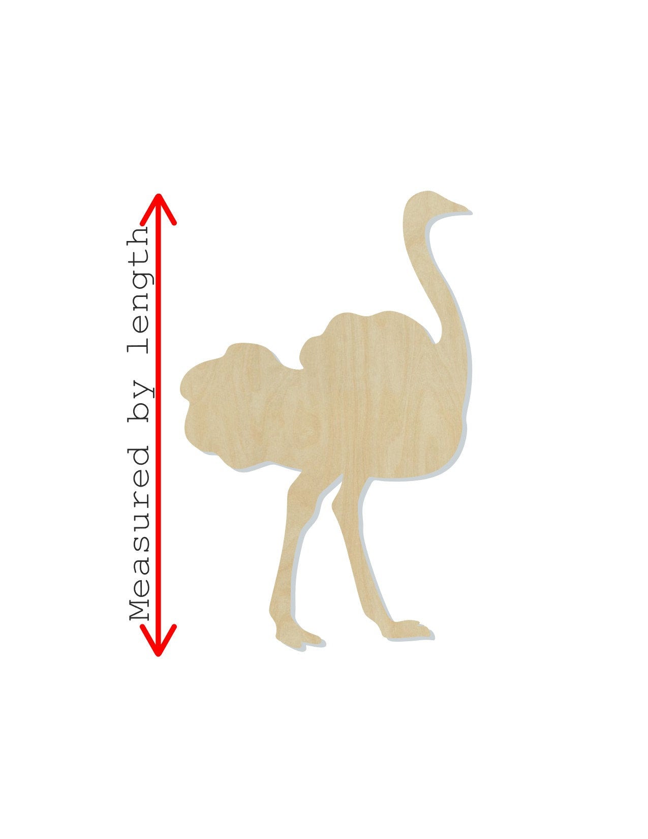 Ostrich wood shape wood cutouts animal cutouts animal shapes DIY Paint kit #1805 - Multiple Sizes Available - Unfinished Wood Cutout Shapes
