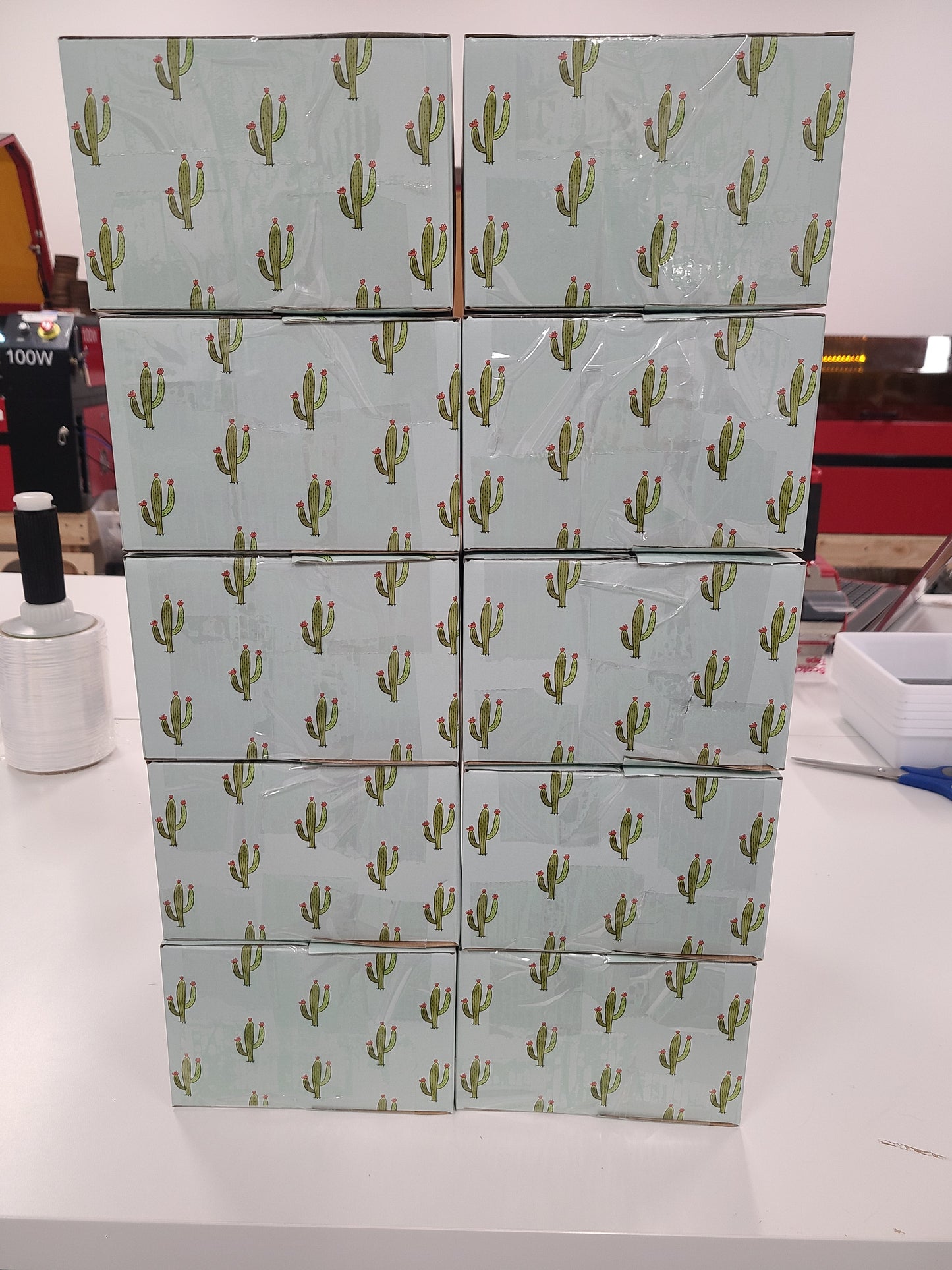 Cactus Mystery Box