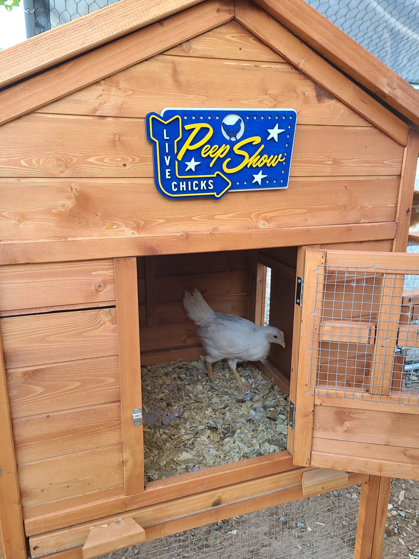 Peep Show Chicken Coop Sign | #3699