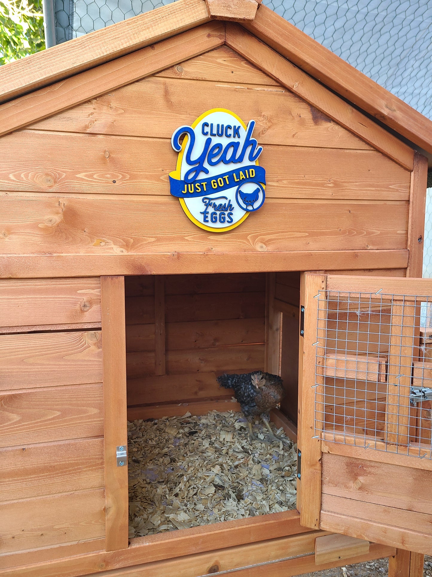 Just got laid Chicken Coop Sign | #3698