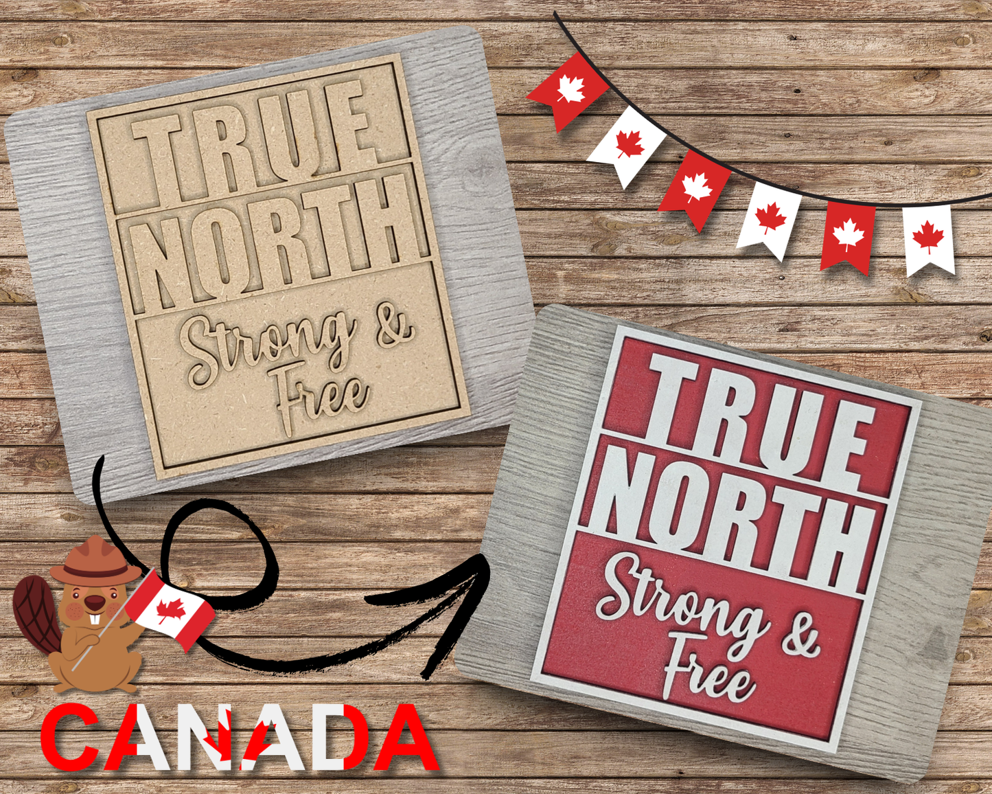 True North | #2938
