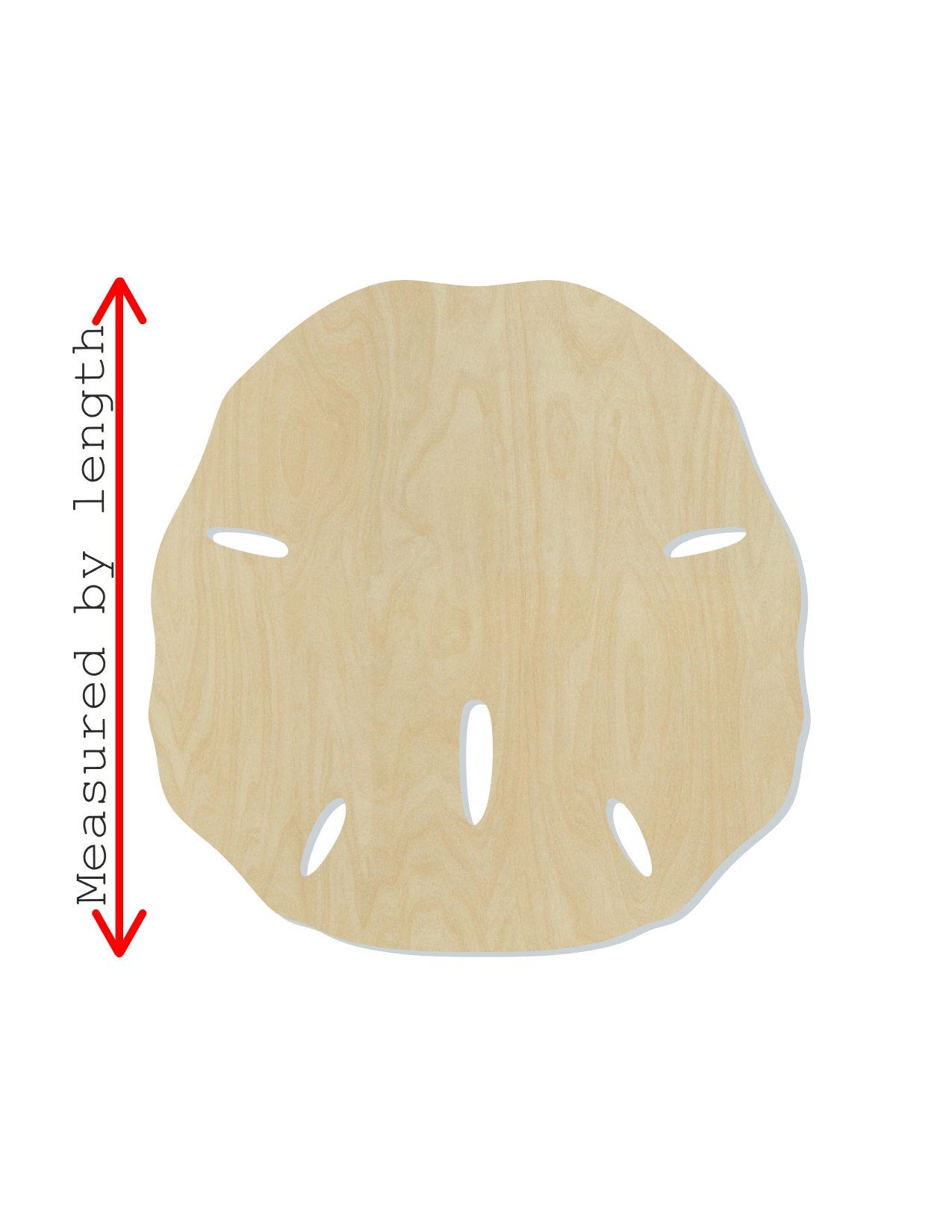 Sand Dollar wood shape wood cutouts DIY Paint kit Beach Ocean Shells #1953 - Multiple Sizes Available - Unfinished Wood Cutout Shapes