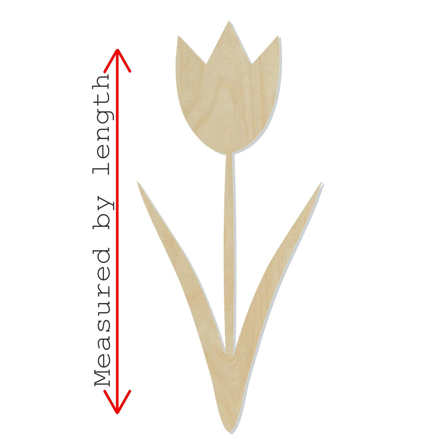 Tulip Blank garden flowers Tulip Cutout #1096 - Multiple Sizes Available - Unfinished Wood Cutout Shapes