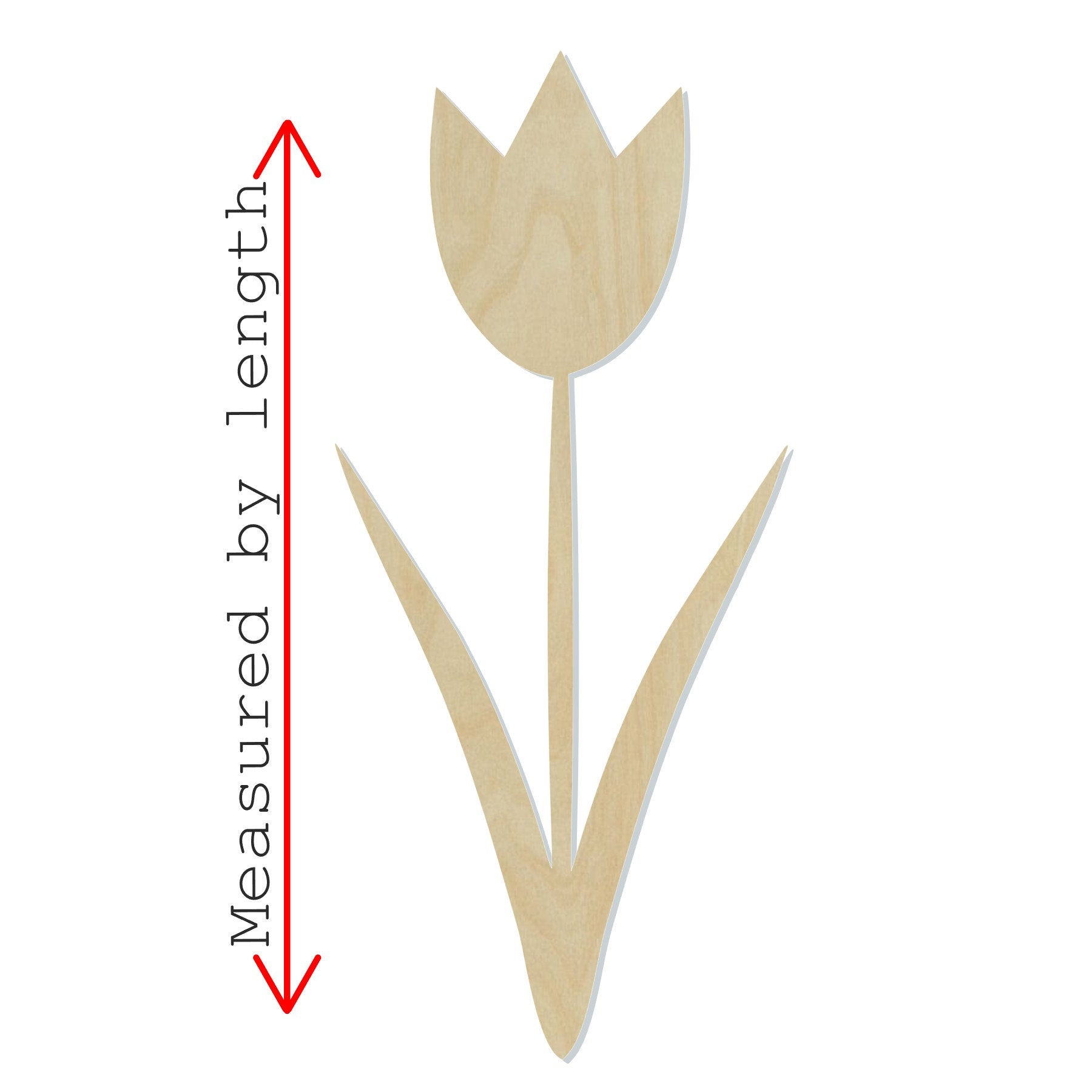 Tulip Blank garden flowers Tulip Cutout #1096 - Multiple Sizes Available - Unfinished Wood Cutout Shapes